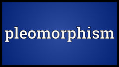 WHAT IS PLEOMORPHISM?